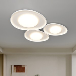 Flower Carpenter Intelligent Lamp Lighting Set Dining Room Lamp 1 Living Room Lamp 1 Bedroom Lamp 2