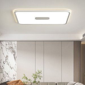 Topshine Full Spectrum LED Ceiling Light – Modern Minimalist Dimmable Light Fixture for Home